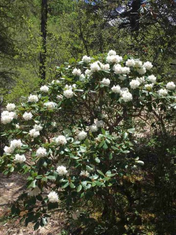探秘九寨沟，从火车站出发的旅行指南